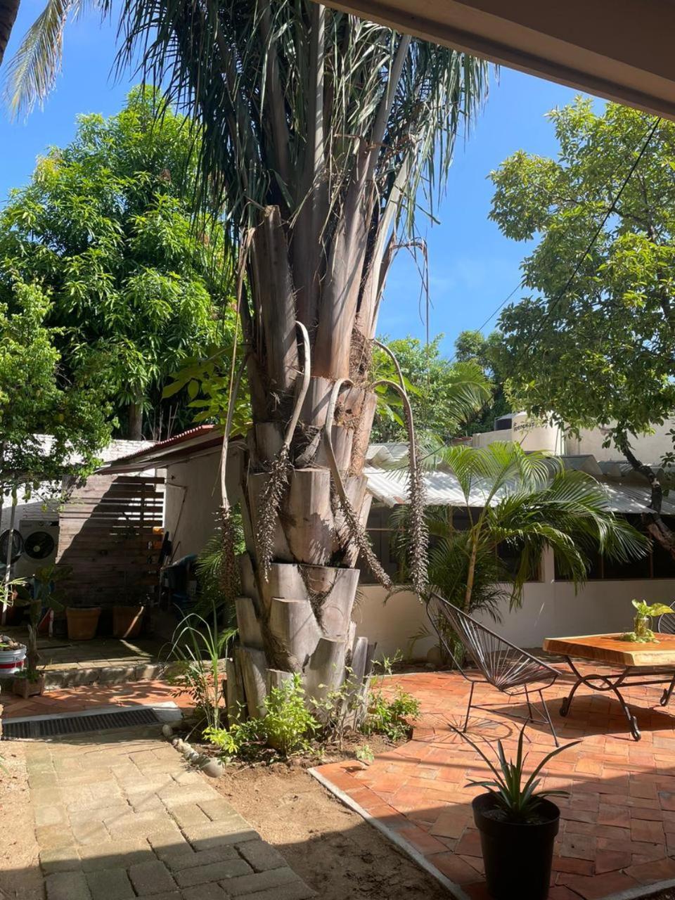 Casa Sixta A 7Min Del Aeropuerto Internacional Pmx Y 2 Cuadras Terminal Autob Ado Hotel Puerto Escondido  Kültér fotó